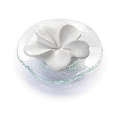 Primavera Fragipani Duftstein